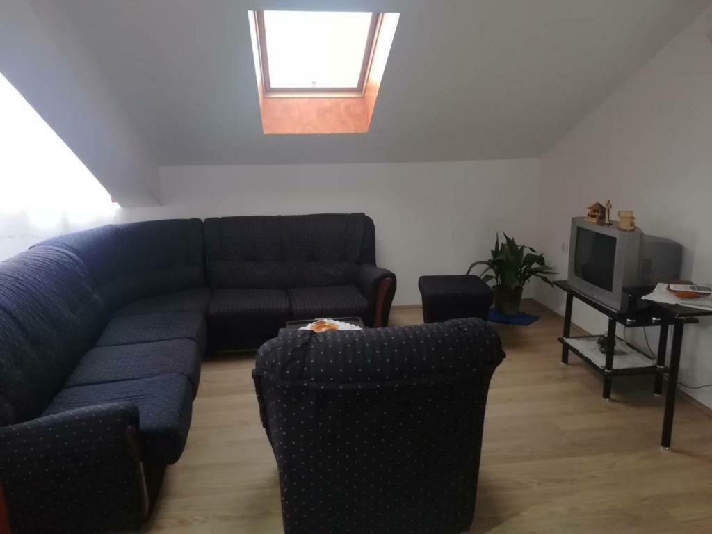 Apartman Ivana Ica Soko Banja Dış mekan fotoğraf